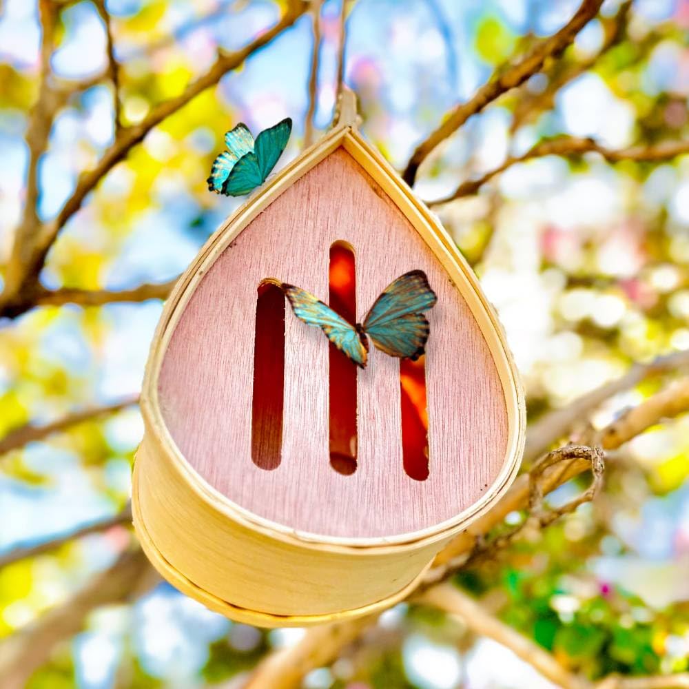 Butterfly Garden Pollinator Set – Wooden Butterfly House & Insect Hotel for Bees, Ladybugs & Beneficial Insects, Outdoor Garden Habitat Backyard Garden, Gift Set,