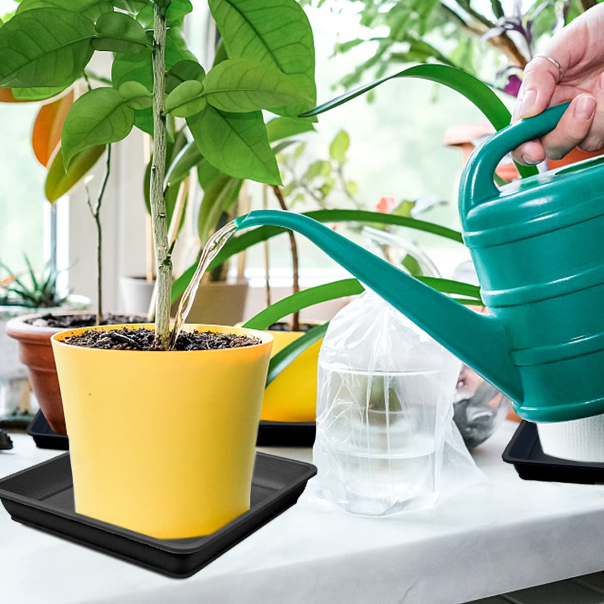 LNQ LUNIQI 10 PCS Square Plastic Plant Saucer 8 Inch Flower Pot Bottom Seat Flower Pot Tray Thick Plastic Drip Tray for Garden Potted Water Drips and Soil （Black）