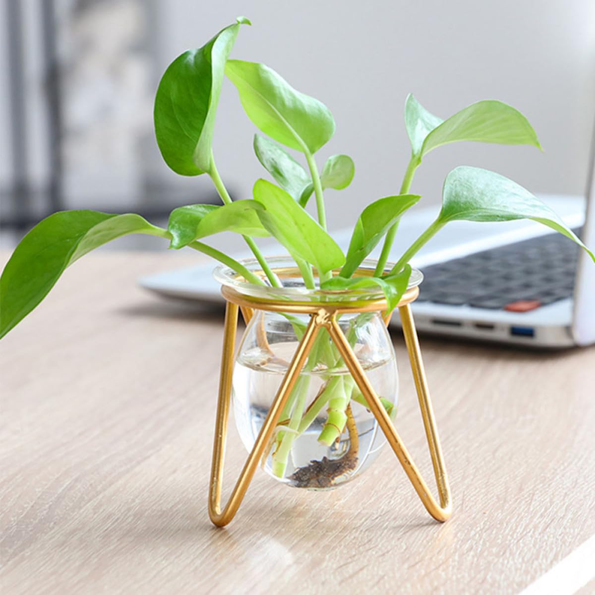 Ipetboom Glass Bulb Planter with Metal Stand, Small Gold Hydroponic Vase for Succulent Propagation, Desktop Glass Vase Holder for Indoor Plant Terrarium and Floral Arrangements