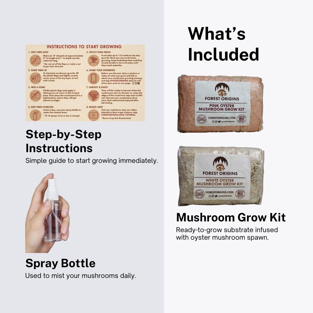 Forest Origins Oyster Mushroom Grow Kit 2-Pack, Pink and White Varieties, Harvest in 10 Days, Beginner Friendly, Handmade in California USA, Unique Gift Set