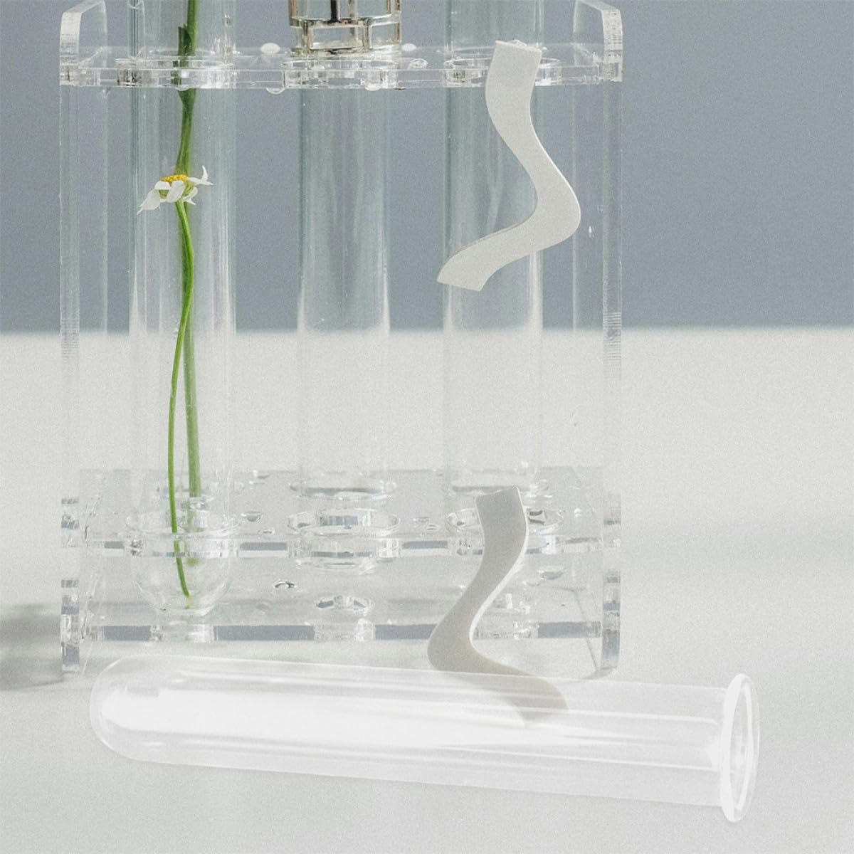BESPORTBLE 4pcs Glass Test Tube Vase Plant Propagation Tubes Hydroponic Planter Terrariums Desktop Floral for Indoor Plants Home Décor