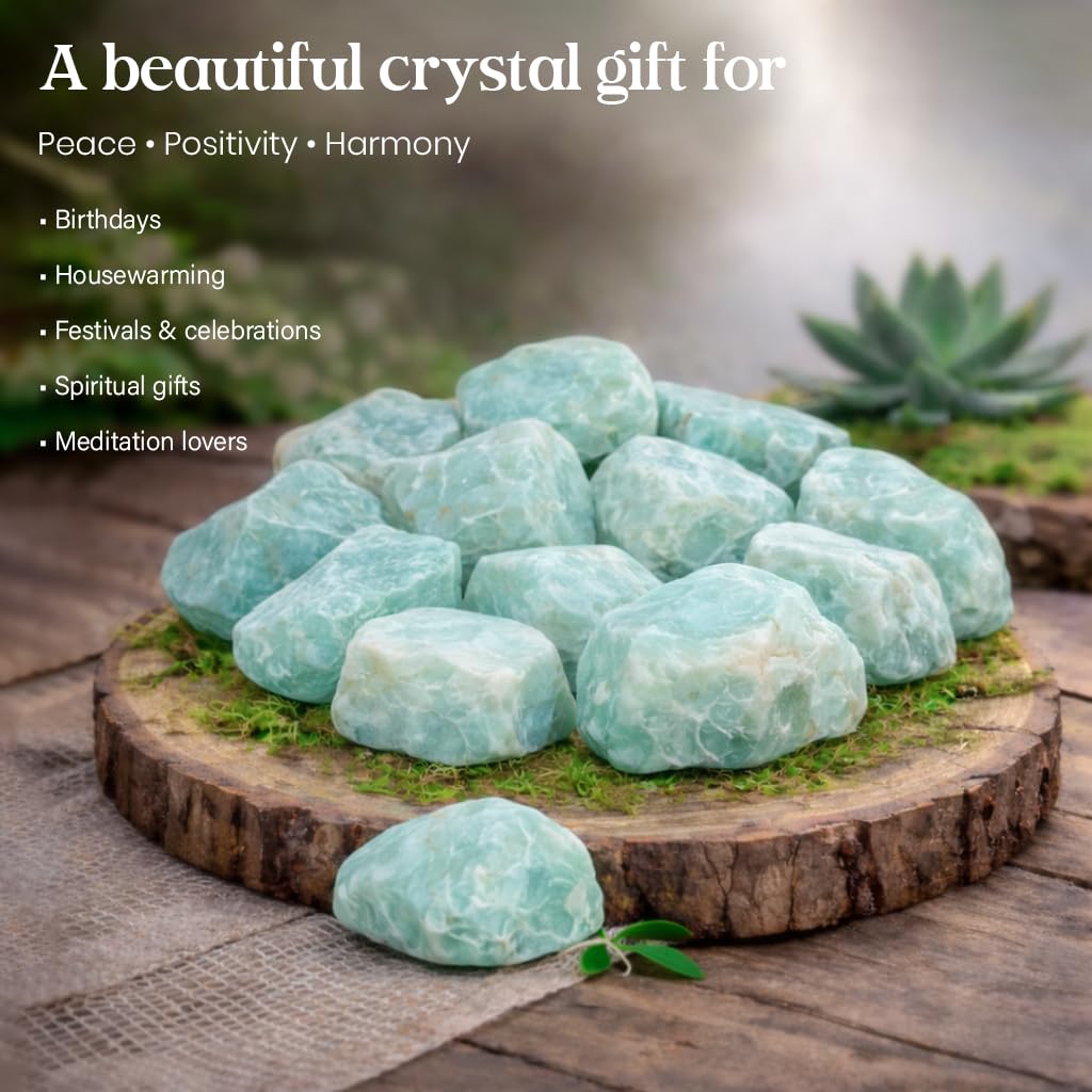 Crocon Amazonite Rough Bulk Natural Stone Raw Gemstone Tumbling Cabbing Polishing Gem Mining Chakra Balancing Reiki and Crystal Healing Good Luck Home Office Size : 1 LB