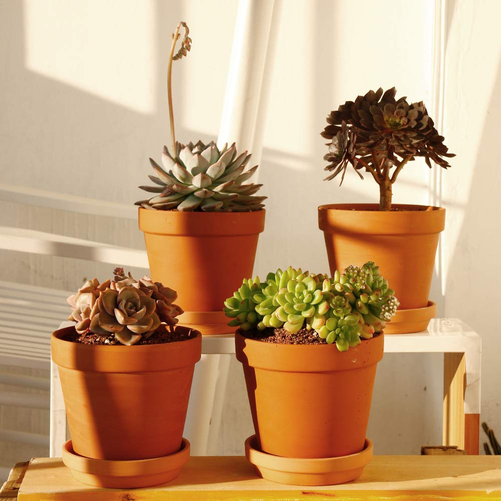 Yishang Large Terra Cotta Pots with Saucer- 4 Pack Large 6'' Terra Cotta Plant Pot with Drainage Hole, Flower Pot with Tray, Terracotta Pot for Indoor Outdoor Plant