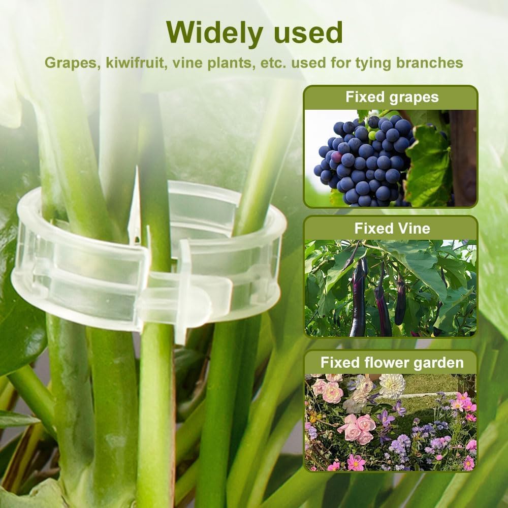 Mqacpu Secured Plastic Plant Clip, Plant Clips for Climbing Plants Clear for Tomato Grape, Plant Fixing Clips,Garden Clips for Climbing Plants,Grape and Vine Vegetables (100, Green)