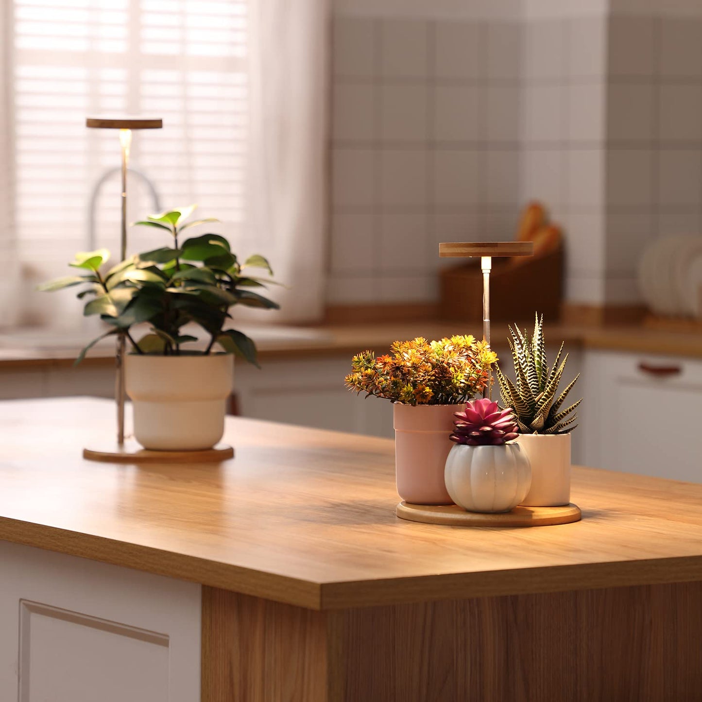Plant Grow Light for Indoor Plant,Bamboo Mini LED Grow Light Garden,Height Adjustable,Automatic Timer with 8/12/16 Hours
