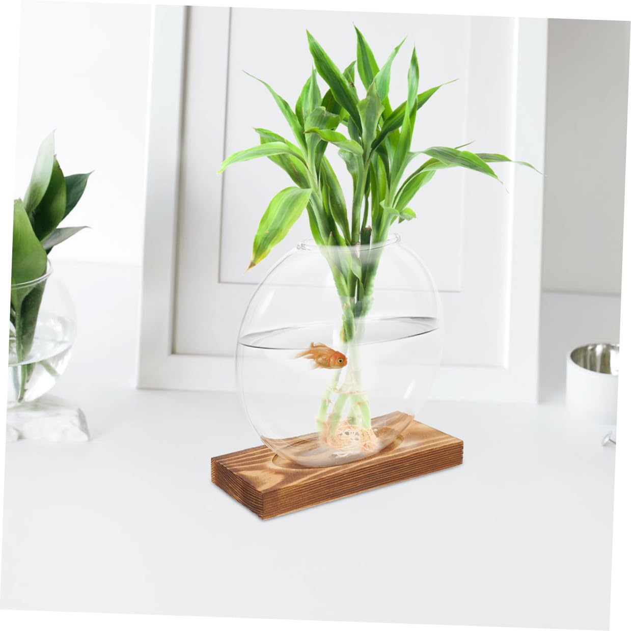 NIYANGLE 2pcs Hydroponic Glass Vase with Wooden Base Small Propagation Station for Indoor Plants and Office Decor Plant Terrarium for Home Window Sill