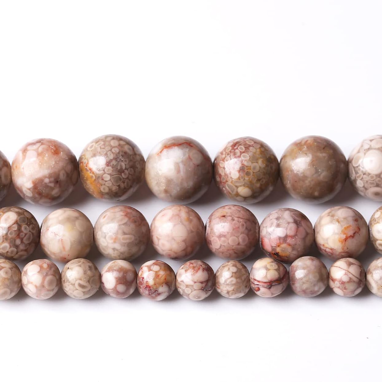 36PCS 10MM Natural Flowery Cowry Fossil Stone Beads Energy Healing Beads for DIY Jewelry Bracelet Necklace Making for Jewelry Making15Inch