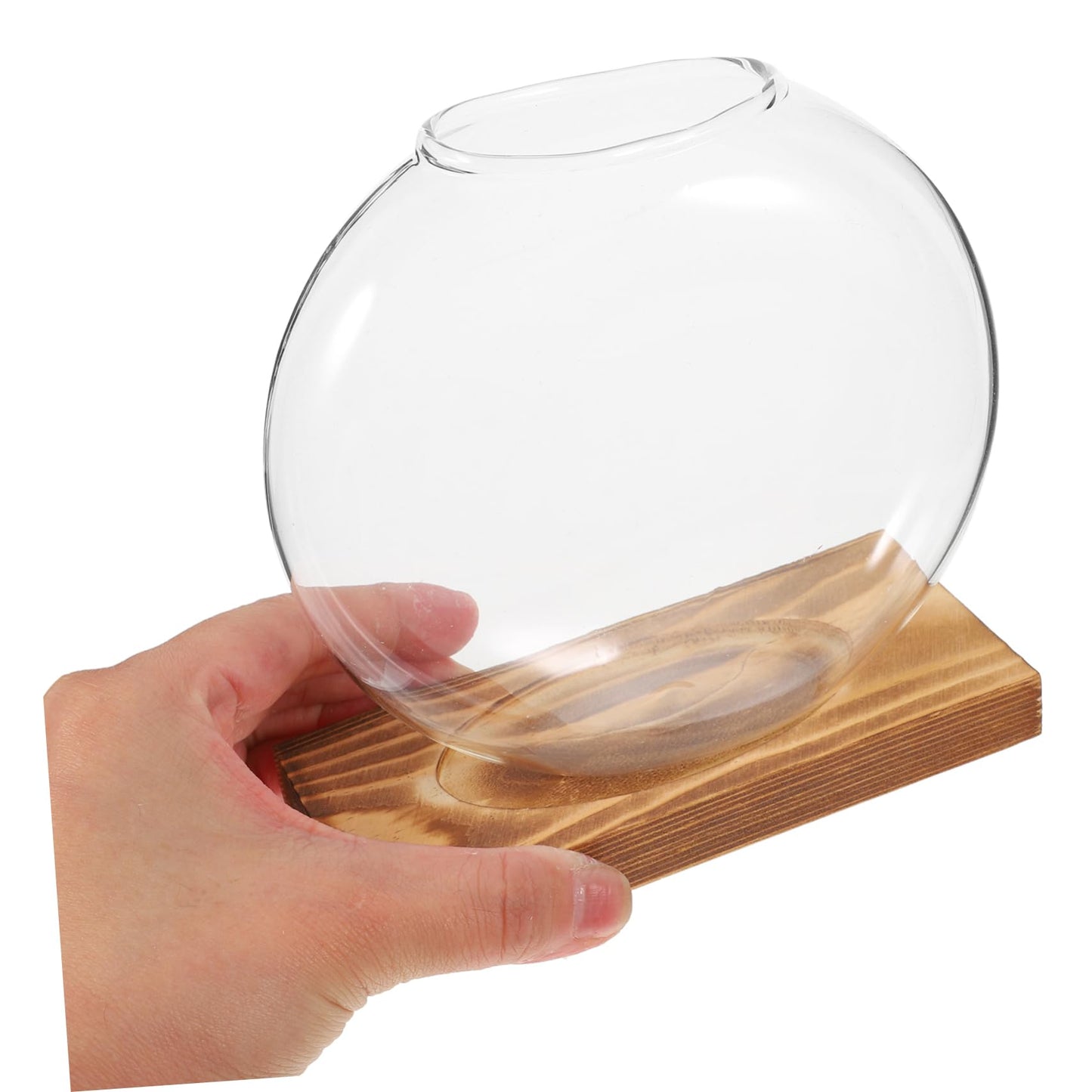 SEWOART Rustic Hydroponic Vase Glass Terrarium Bowl Indoor Greenery Decor Wooden Base Plant Propagation Station for Home Office