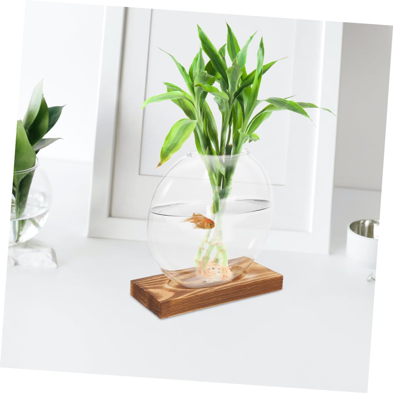 LALADEFIEE 2pcs Hydroponic Glass Vases with Wooden Stand, Indoor Plant Propagation Station for Greenery Terrarium, Decorative Flower Pots for Home Office Window Sill