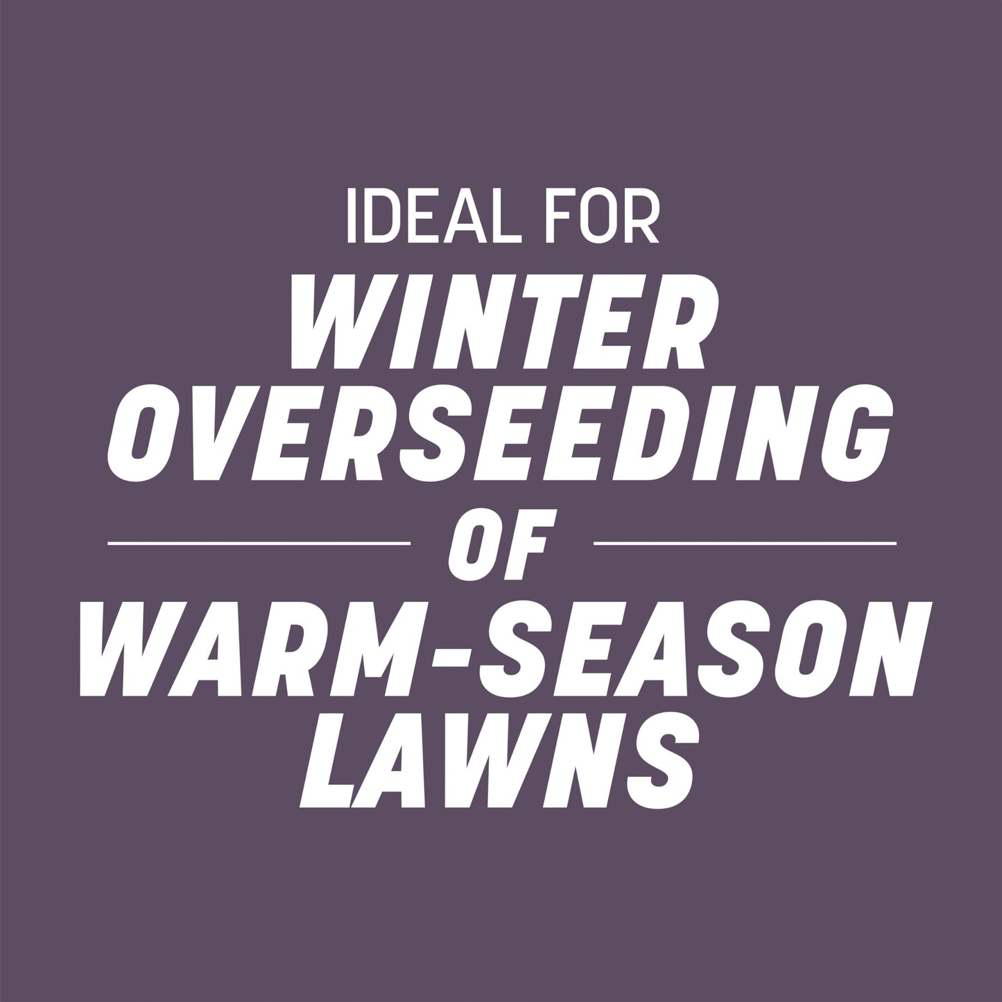 Pennington Annual Ryegrass Grass Seed 10 lb