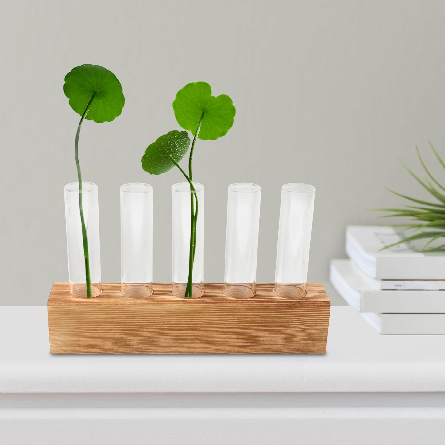 Garneck Glass Planter Hydroponic Vase with 5-Hole Wooden Stand, Indoor Terrarium Plant Propagation Station for Home Office Décor, Tabletop Glass Vase for Air Plants and Live Houseplants