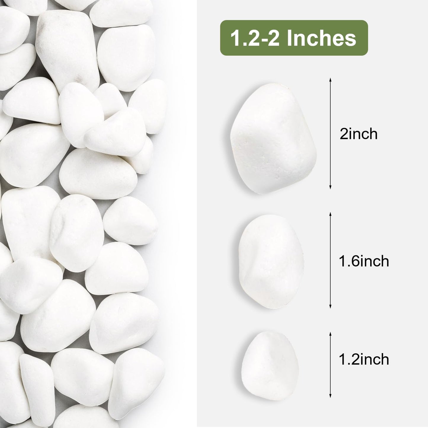 SIDONG 10 lbs White River Rocks, 1.2-2 Inches Pebbles for Indoor Plants, Aquarium Rocks Used in Fish Tank, Decorative Stones for Plants, Vases, Home Décor, Crafting, Garden Landscaping