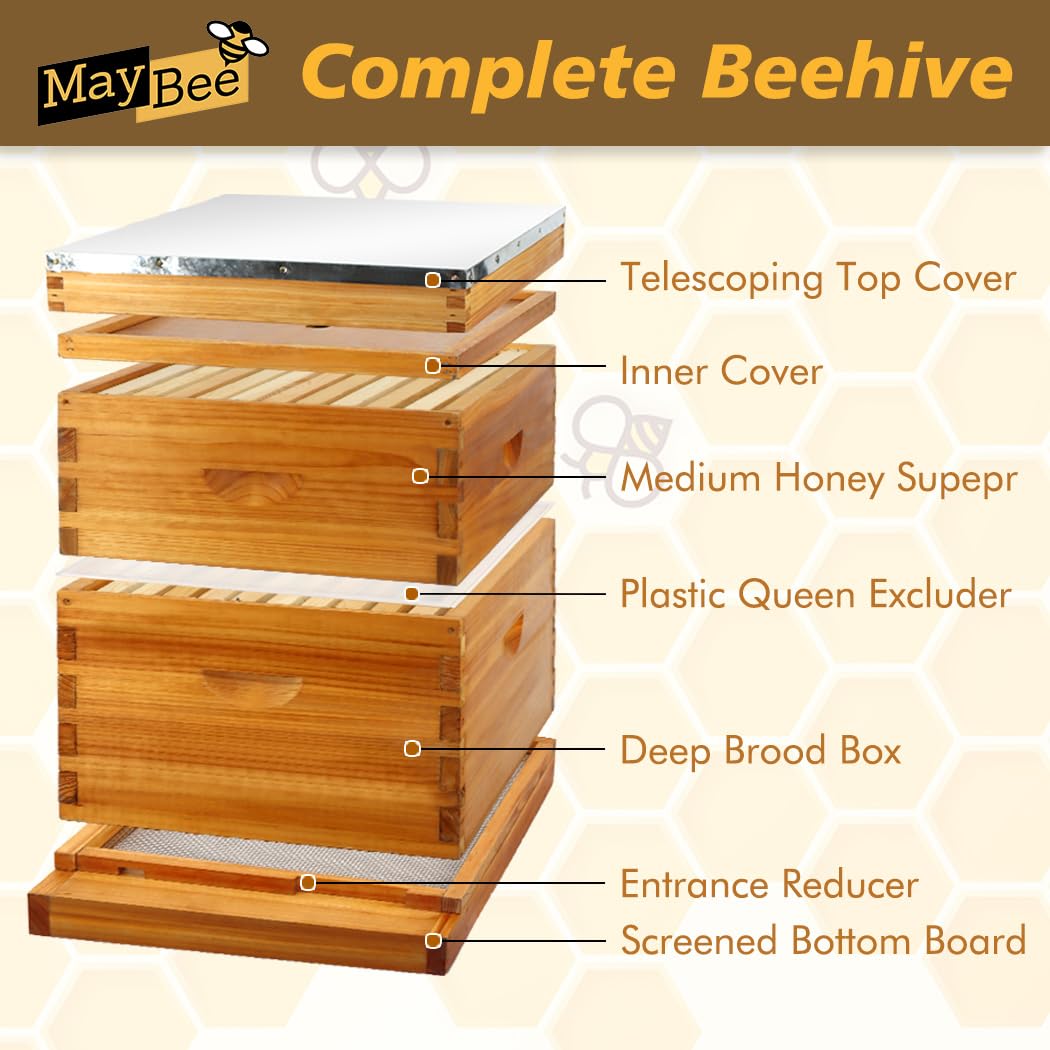 MayBee 10 Frame Screened Bottom Board Beehive Dipped in Original Beeswax, Bee Hives Kit Includes 1 Deep Box & 1 Medium Box with Beehive Frames and Wax Coated Foundations