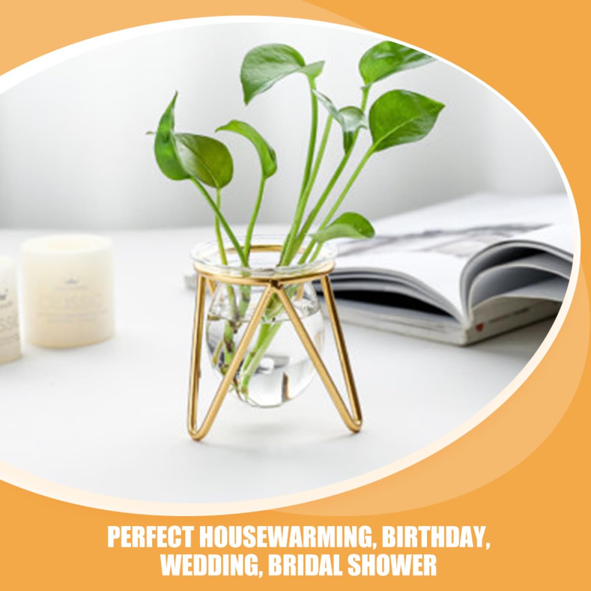 NULYLU Glass Flower Holder with Metal Stand, Small Gold Hydroponic Plant Pot Terrarium Vase for Desk and Office Decor, Decorative Succulent and Green Plant Container