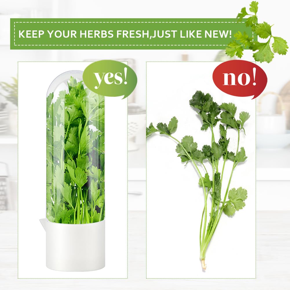 Yuanfenron Herb Keeper for Refrigerator with Herb Peeler - Herbs Saver & Vegetable Preservation Container, Extends Freshness Up to 2-3 Weeks for Cilantro, Basil, Parsley, Mint & Greens