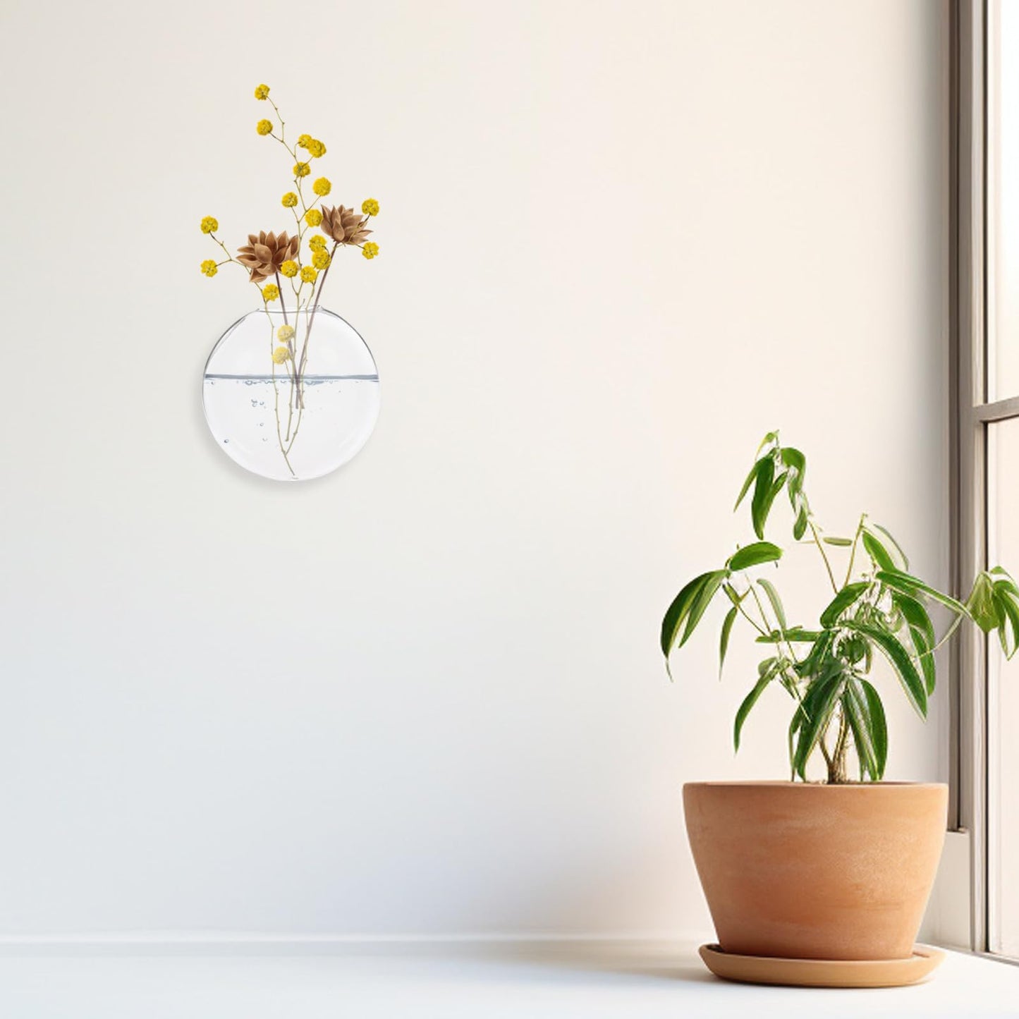 Levemolo 2pcs Hanging Glass Terrarium Wall Planter Vases for Indoor Hydroponic Plants, Flat Glass Flower Holders Wall Mounted for Home Décor and Plant Propagation