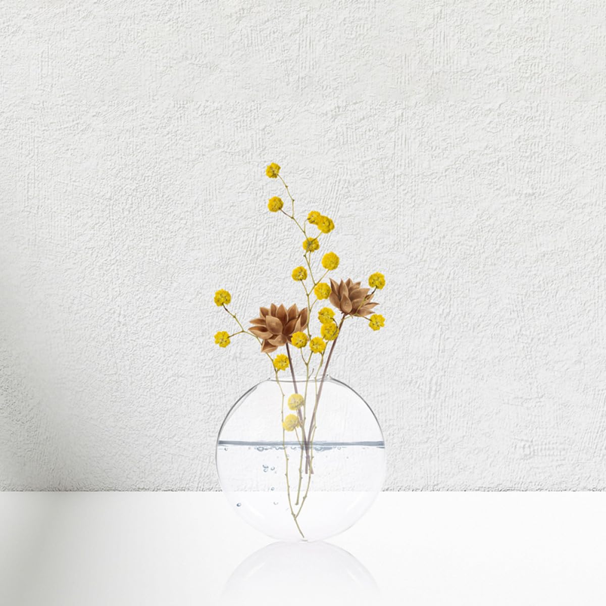 GARVALON Glass Hanging Planter Wall Mounted Vase 2pcs Glass Terrarium Hydroponic Vase for Indoor Plants Home Décor
