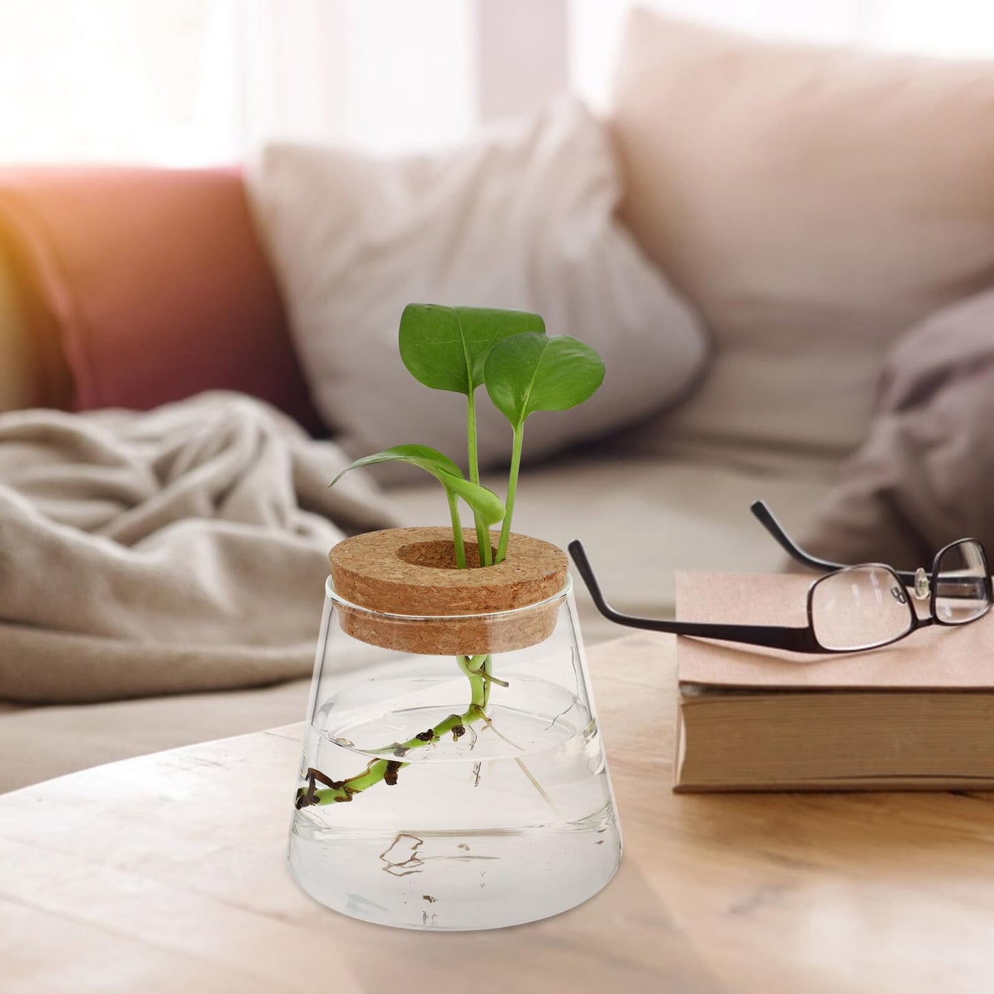 Balacoo 2pcs Hydroponic Glass Planter Vase Desktop Terrarium for Water Plants 6.5cm Opening Glass Eco Bottle Suitable for Home Office Gardening