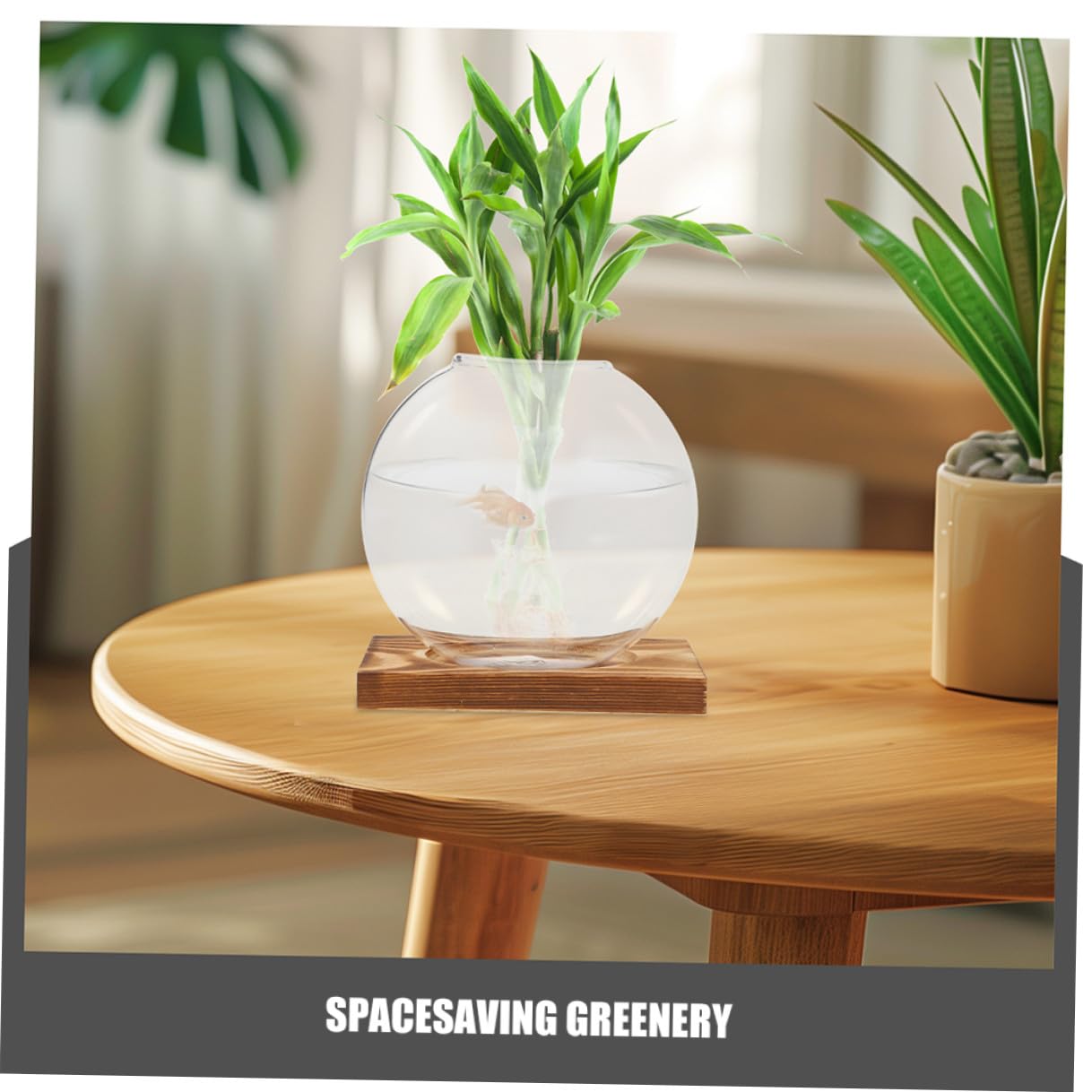 Toyvian 2pcs Hydroponic Glass Planter Vases with Wooden Stand Propagation Station for Indoor Plants Desktop Terrarium Suitable for Home and Office Décor