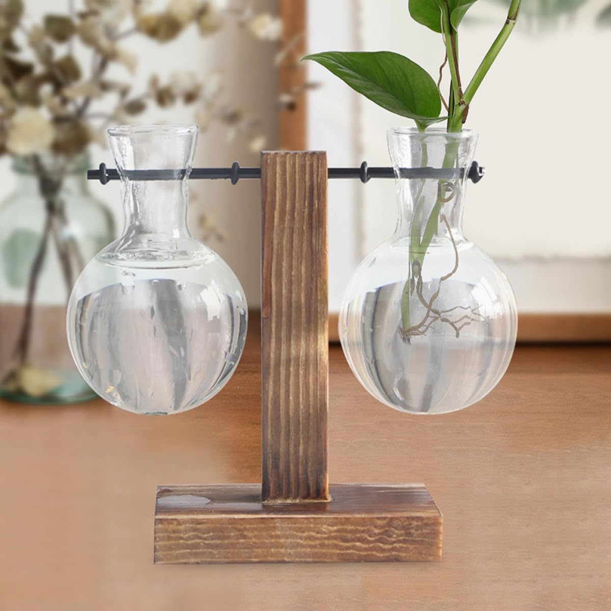 ROMISBABA 3pcs Glass Propagation Planter Vases with Wooden Stand, High Borosilicate Hydroponic Plant Holder Jars for Indoor Plant Propagation and Terrarium Decoration