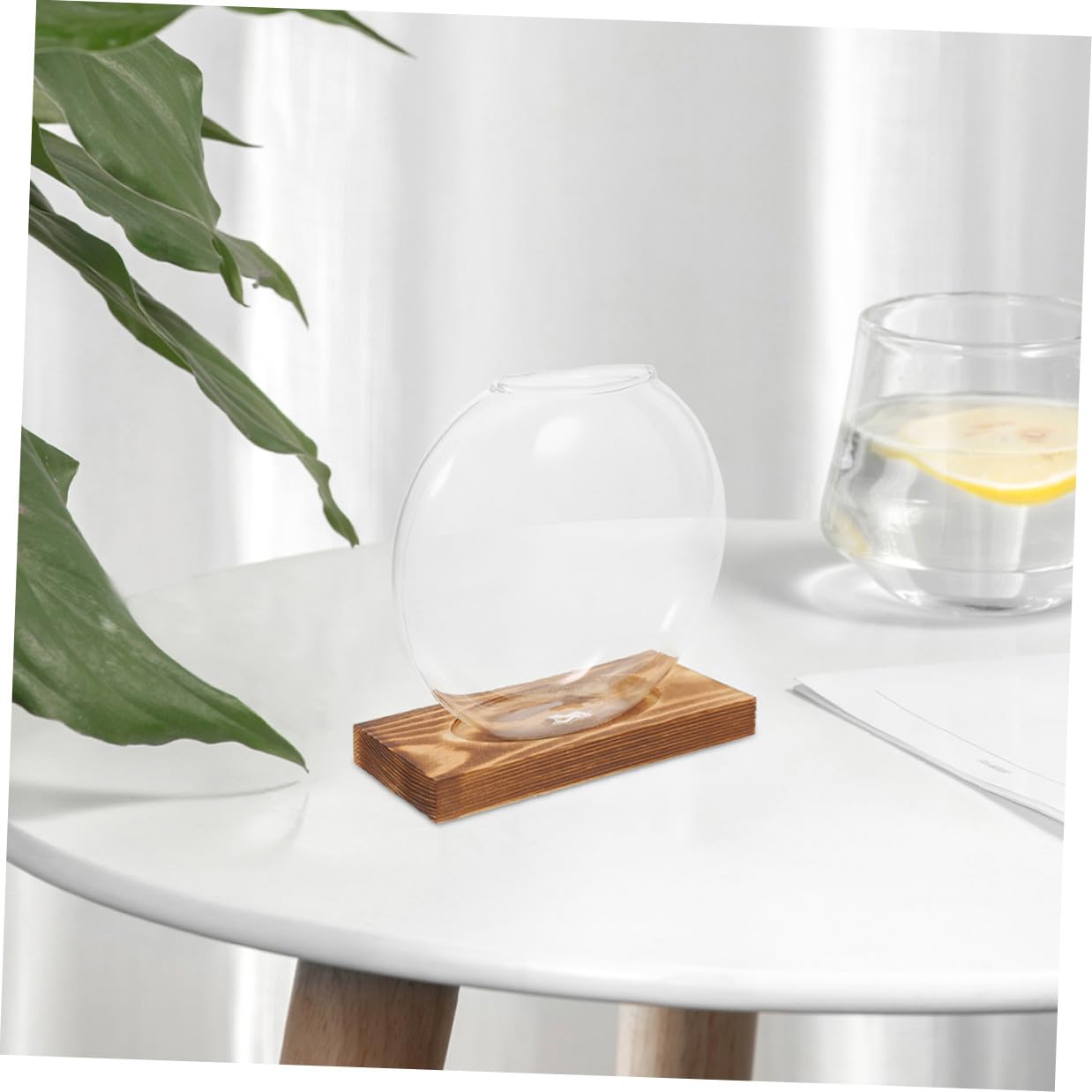 Abaodam 2pcs Hydroponic Glass Vase Propagation Station with Wooden Base, Plant Terrarium for Home Office Balcony, Desktop Glass Pots for Plant Cuttings
