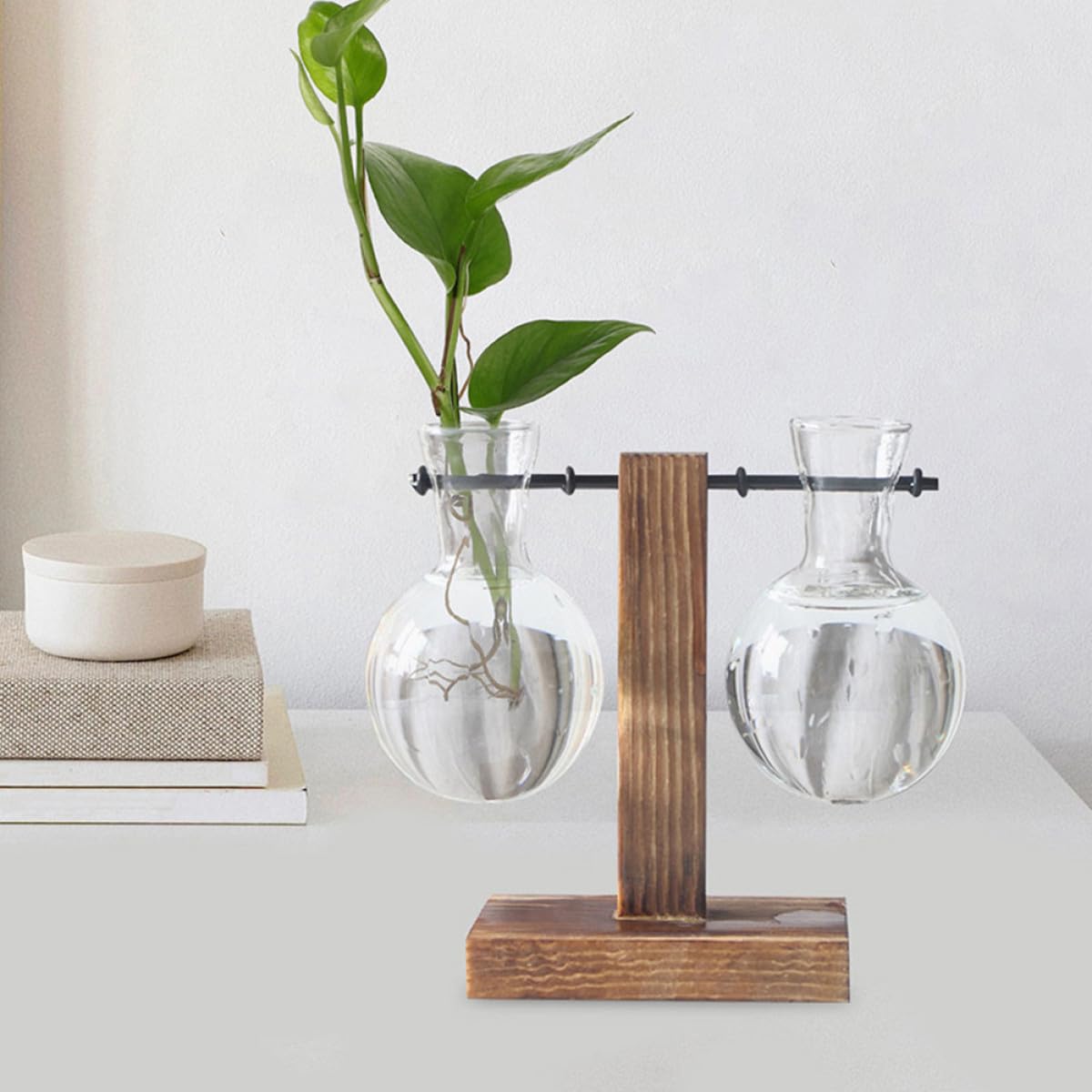 ULTECHNOVO 3pcs High Borosilicate Glass Hydroponic Plant Containers with Wooden Stand, Terrarium Holders for Home Decor and Indoor Propagation