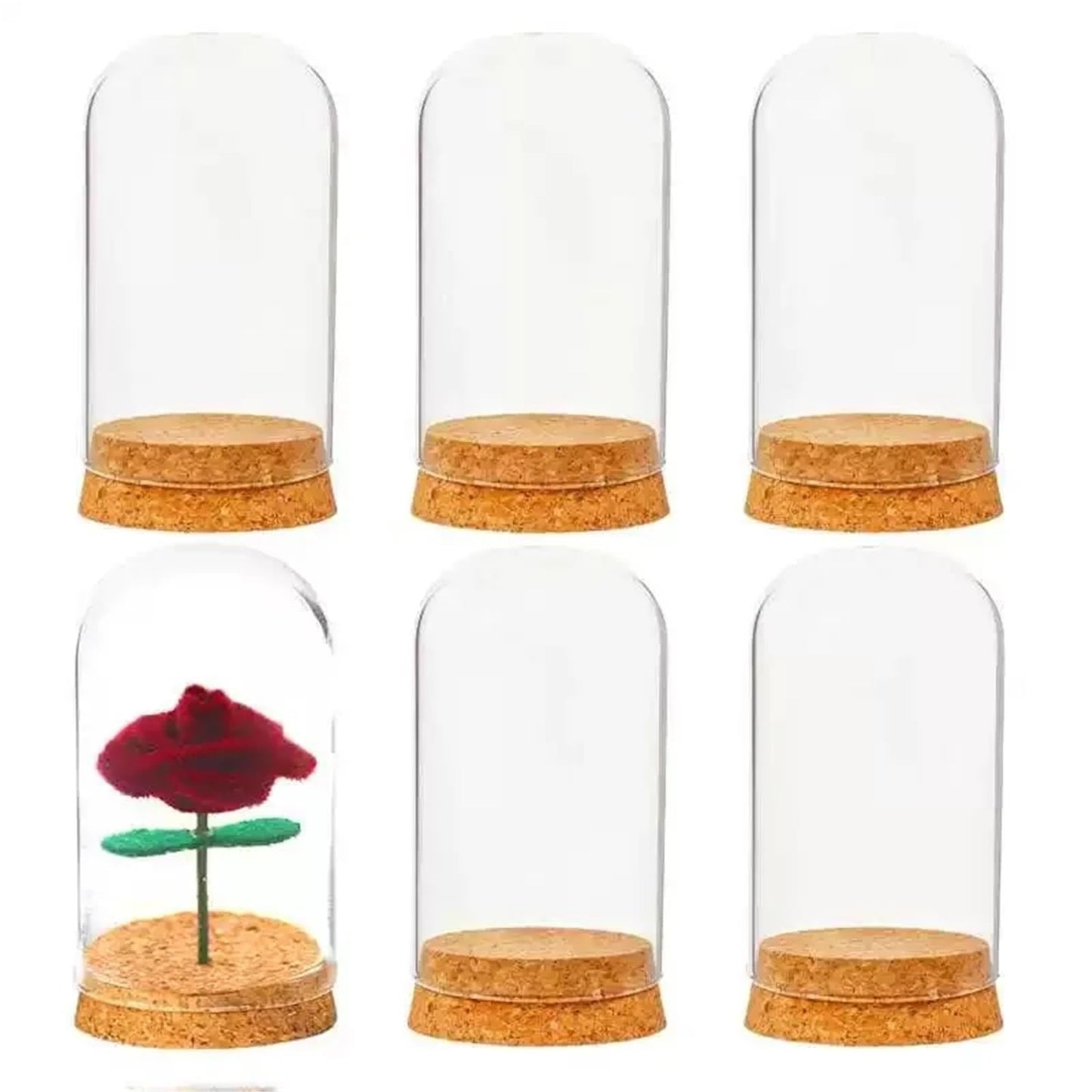 10X Da30mm Glass Bottle Terrarium Jar Cork Base Dome Dust Cover DIY Specimen Succulent Plant Micro Landscape Flower Vase Display(30x150cm)