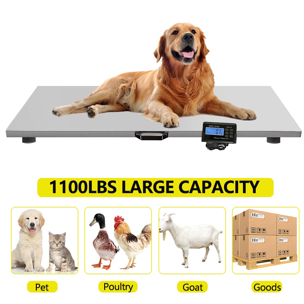 Togarhow 1100Lbs x 0.2Lbs Digital Livestock Scale Large Pet Vet Scale Stainless Steel Platform Electronic Postal Shipping Scale for Heavy Duty Large Dog Hog Sheep Goat Pig Sheep Scale