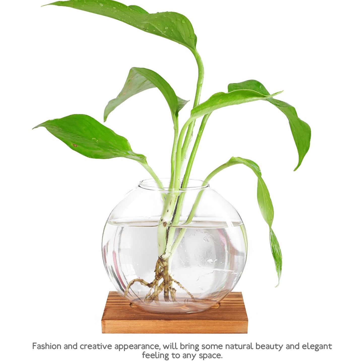 LIFKOME Glass Hydroponic Planter Bottle with Retro Wooden Base, Desktop Glass Plant Vase for Home and Office Décor, Flower Hydroponics Terrarium for Indoor Gardening