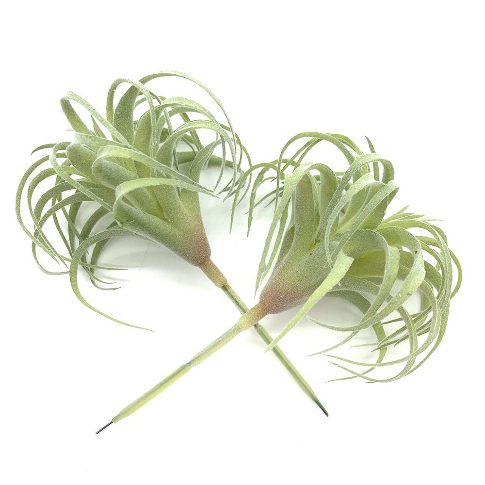 EBUYOM 2 PCS Artificial Succulents Plants Real Touch Lifelike Succulants Plants Faux Greenery Plants Garden DIY Home Office Decoration Ornament (Flocking Air Plant)