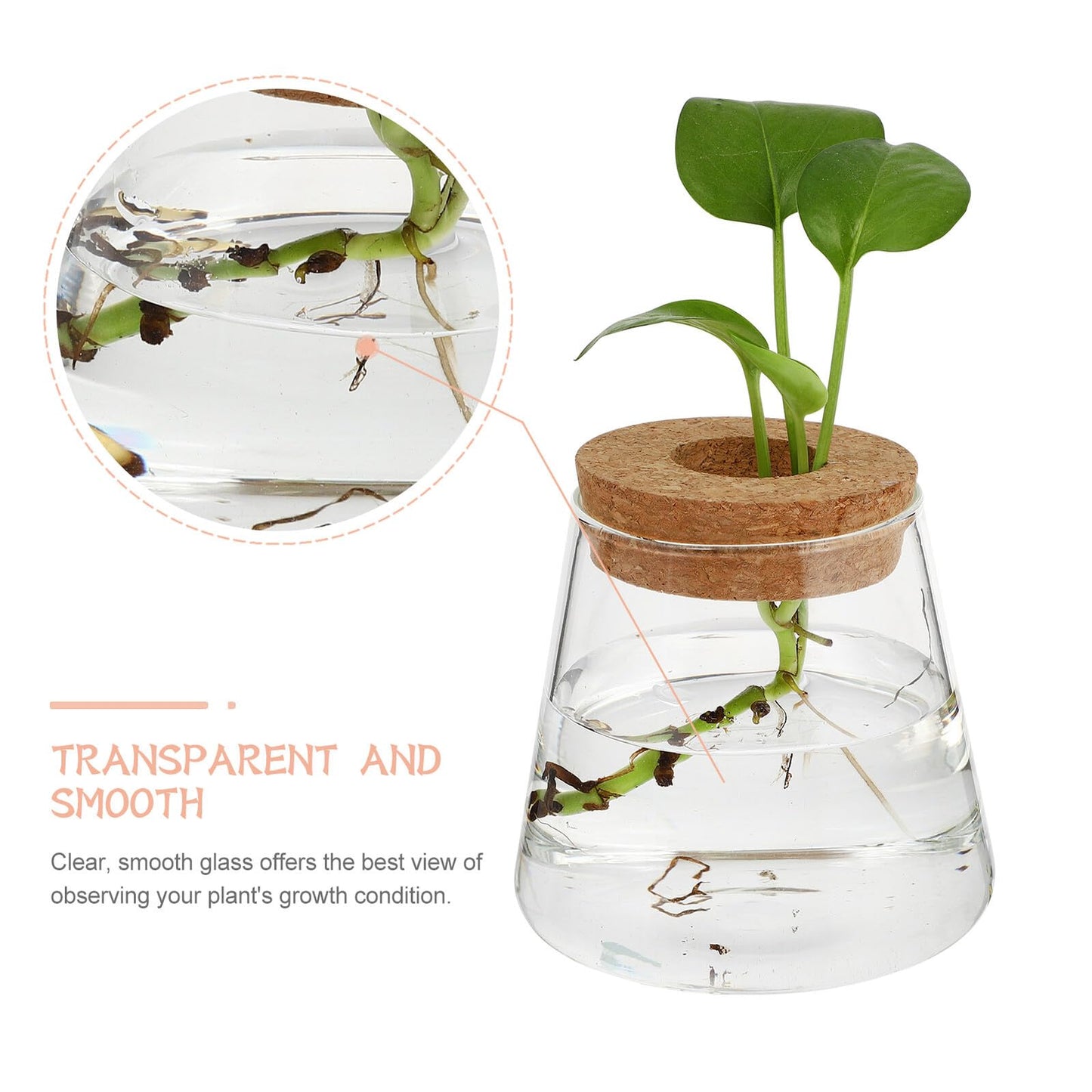 Healvian 2pcs Hydroponic Glass Plant Containers with Cork Lids 400ml Small Desktop Terrarium Vessels for Home and Office Garden Decoration