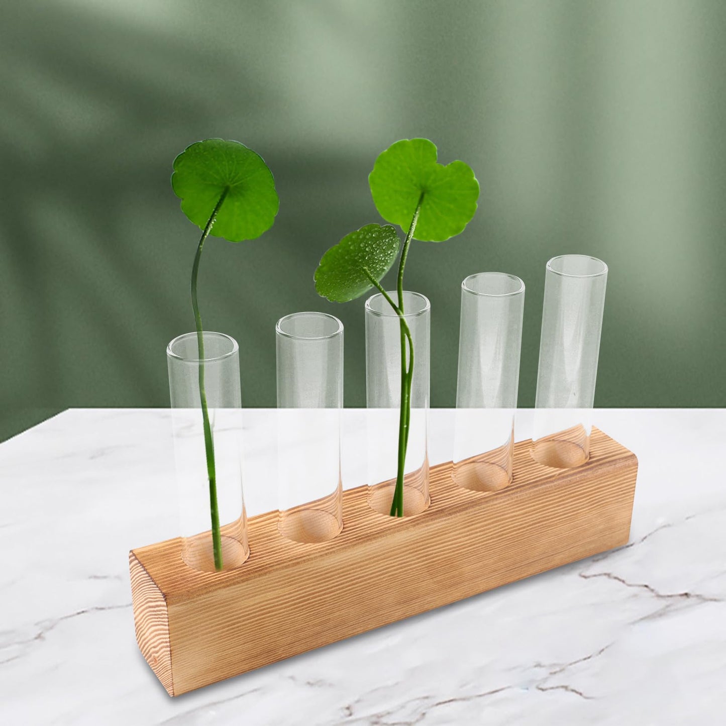 Garneck Glass Planter Hydroponic Vase with 5-Hole Wooden Stand, Indoor Terrarium Plant Propagation Station for Home Office Décor, Tabletop Glass Vase for Air Plants and Live Houseplants