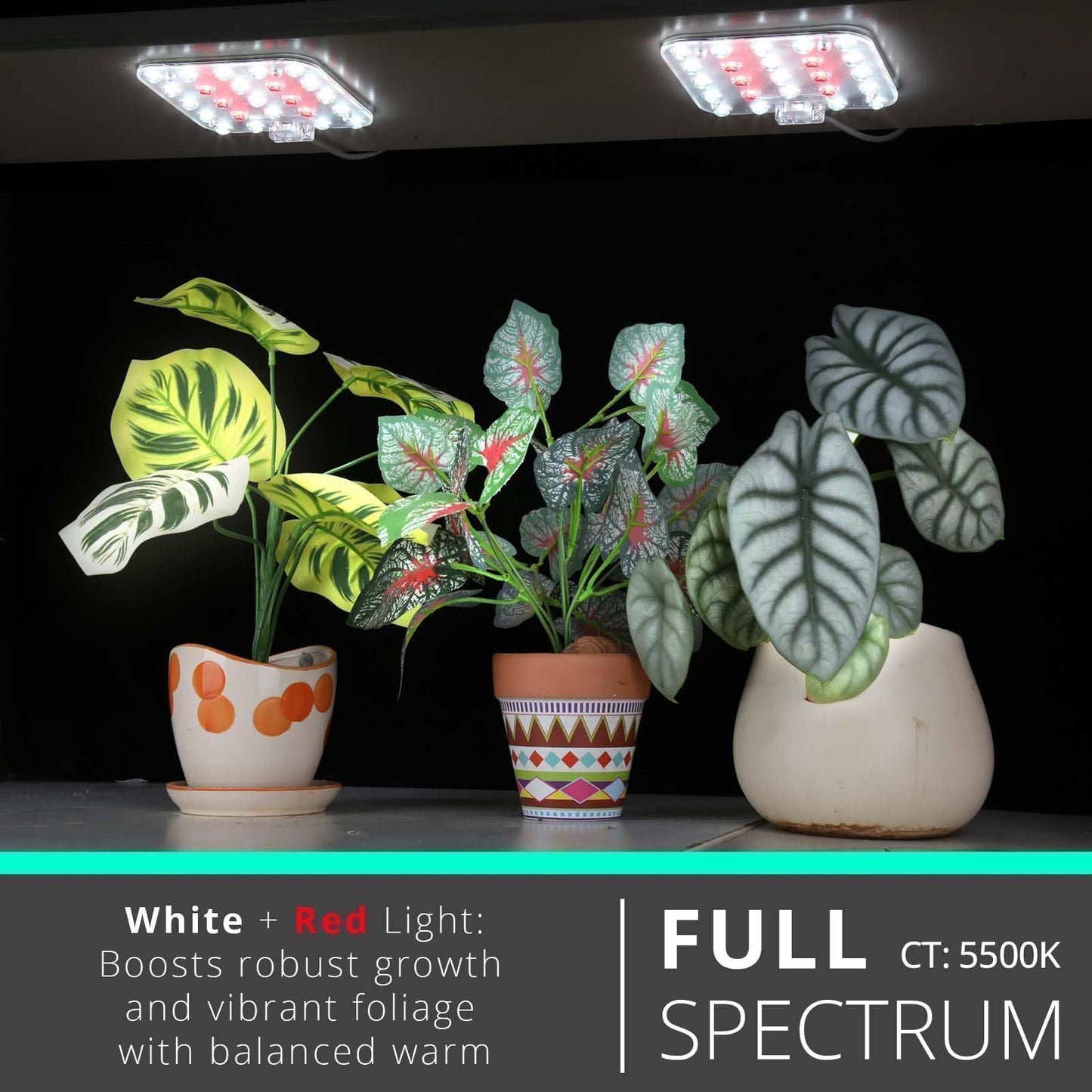 DOMMIA Full Spectrum LED Grow Light for Indoor Plants, 2 Panels 10W with 6/12/16h Timer Dimmable Plant Lights for Flower Veg Plant Growth USB, Daylight White, 1-Pack