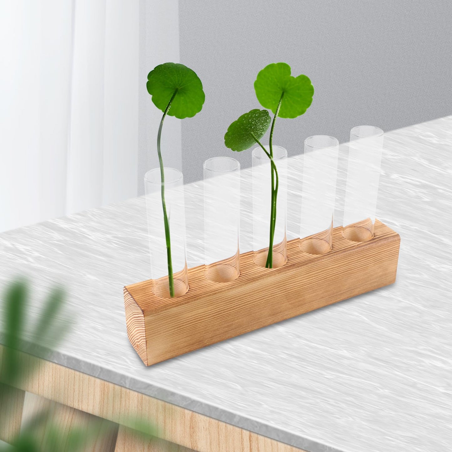 Sewroro Hydroponic Indoor Garden Glass Bud Vases with 5-Hole Wooden Stand Plant Terrarium for Desktop Office Home Décor
