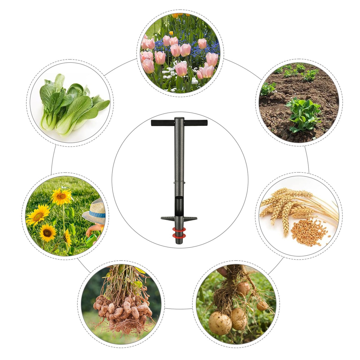 Bulb Planter Tool, 33.5 inch Long Handle Garden Sod Plugger to Dig Hole, Heavy Duty Metal Garden Tools for Soil Test Planting or Weeding Spring Flowers Bulbs,Bedding Plants,Tulips, Lilies, Potato