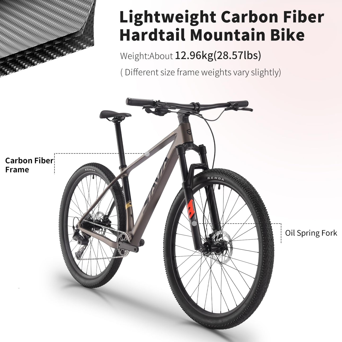 SAVADECK Carbon Fiber MTB with U6000 10 Speed Shift Groupset, Hydraulic Disc Brake with MT200 Break System (Shimmering White, 29 * 19)