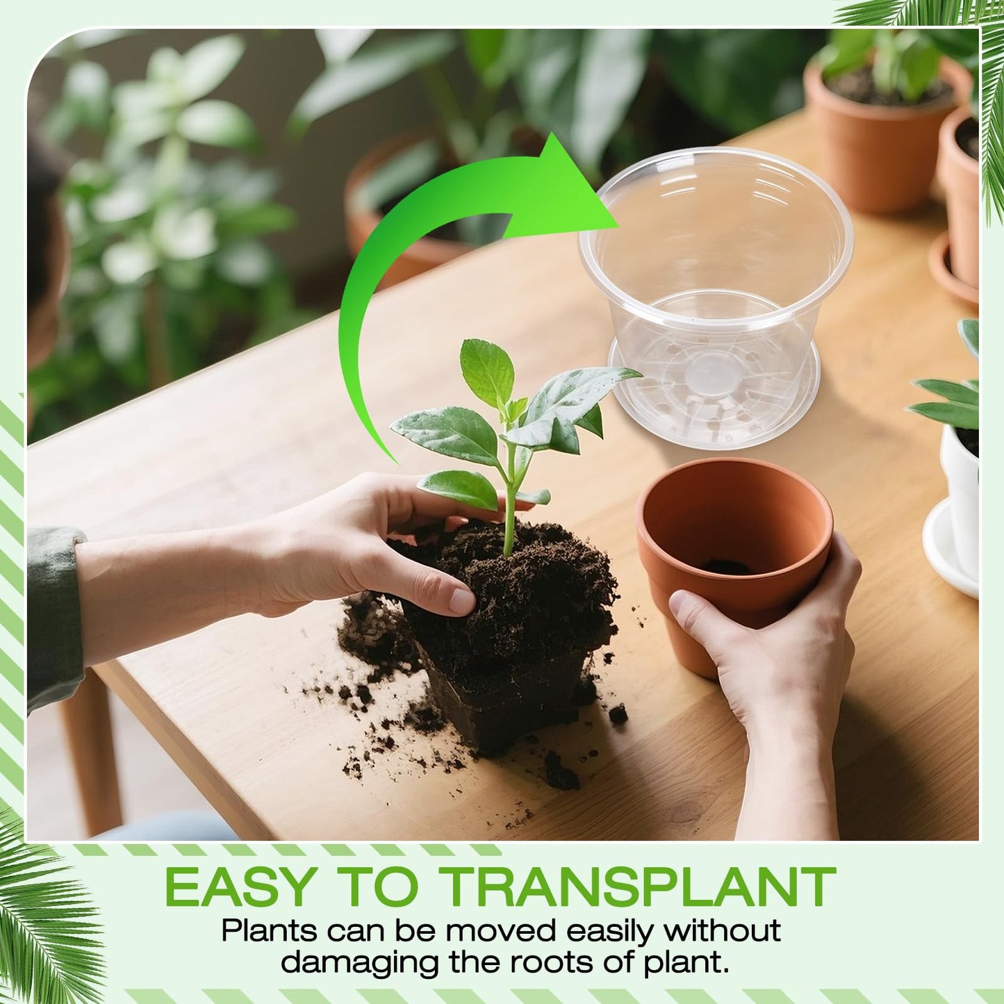 FUOAUYK 6 Inch Clear Nursery Pots with Drainage Trays, 15 Pack Plastic Pots for Plants, Clear Pot for Seed Starting, Transplanting, Succulents, and Indoor Gardening (6 inch)