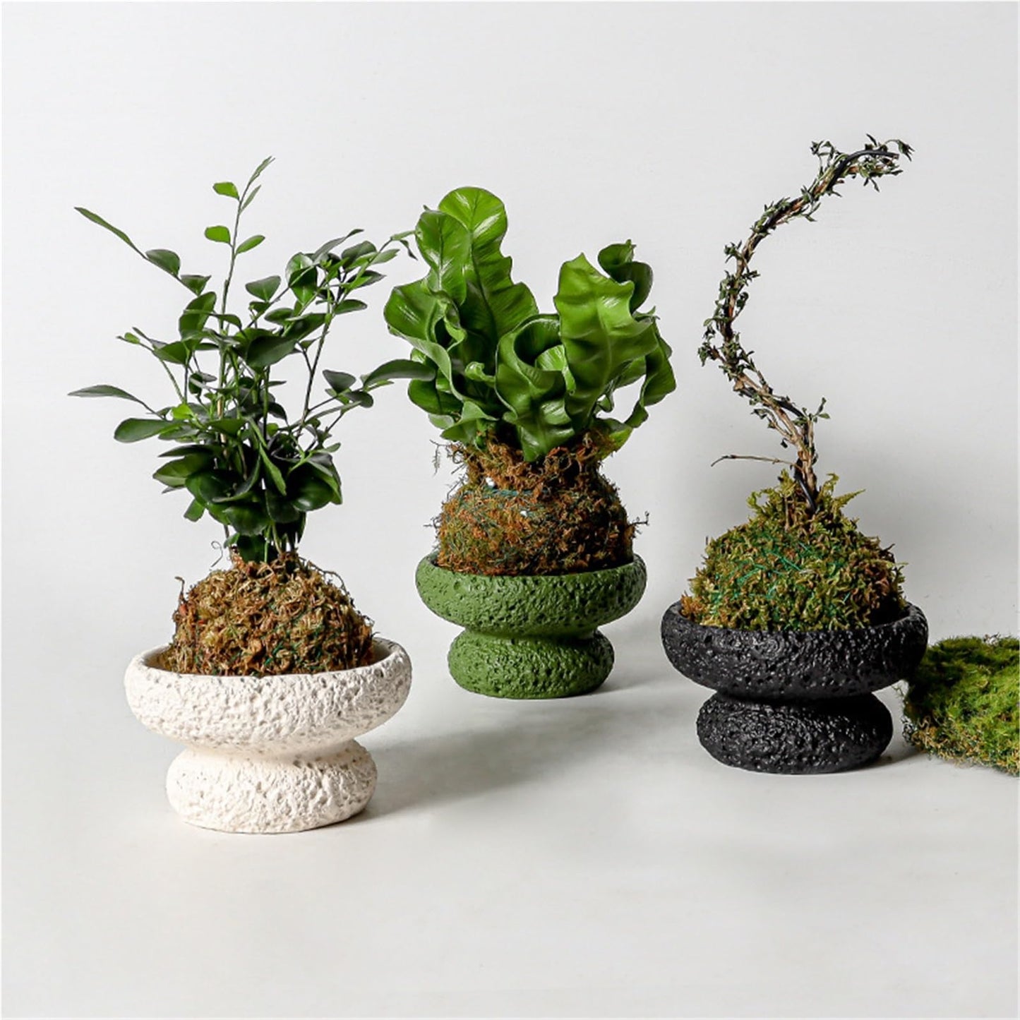 FXLTHIYBO Sleek Cement Creative Meteorite Pattern Flower Pot Planter Plants Flowers Bonsai Decoration for Indoor use(White,Large)