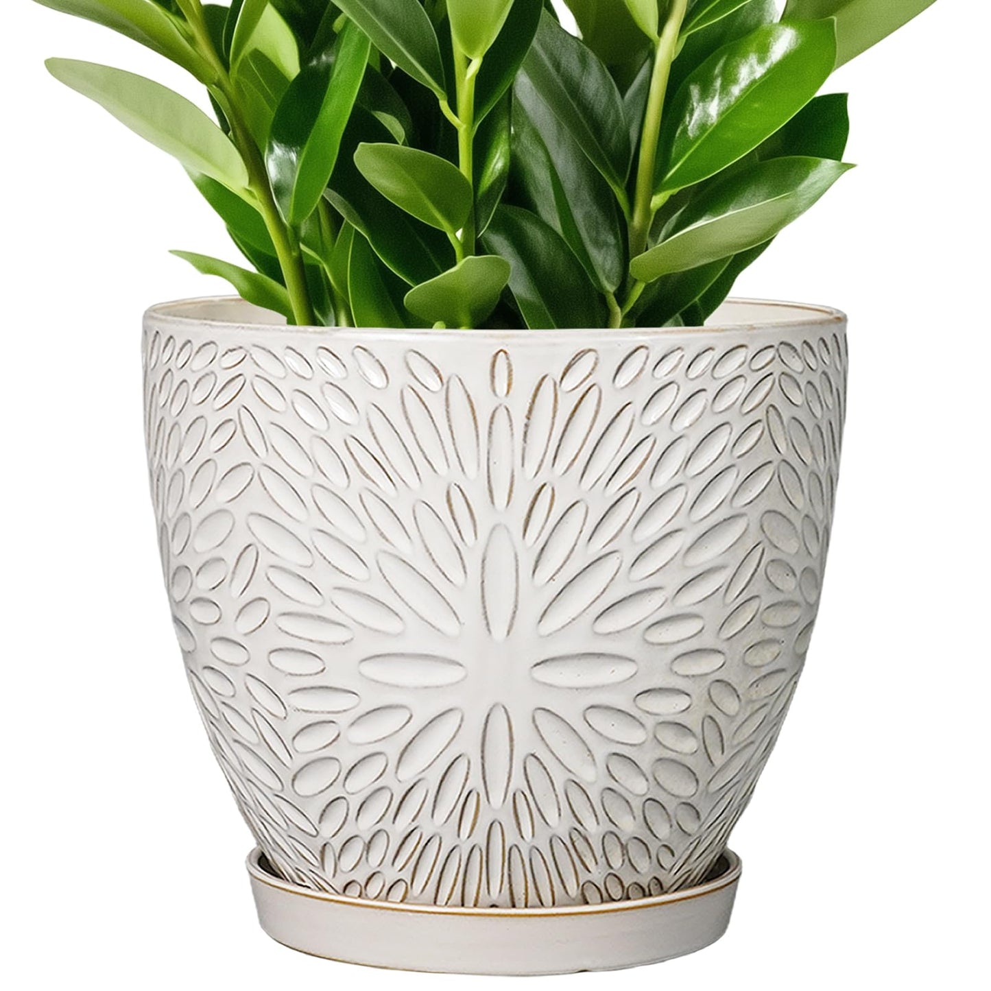 G EPGardening 10 Inch Ceramic Planter Pot with Drainage Hole and Saucer Large Plant Pot for Indoor Plants Outdoor Round Flower Pot for Home Garden Office White