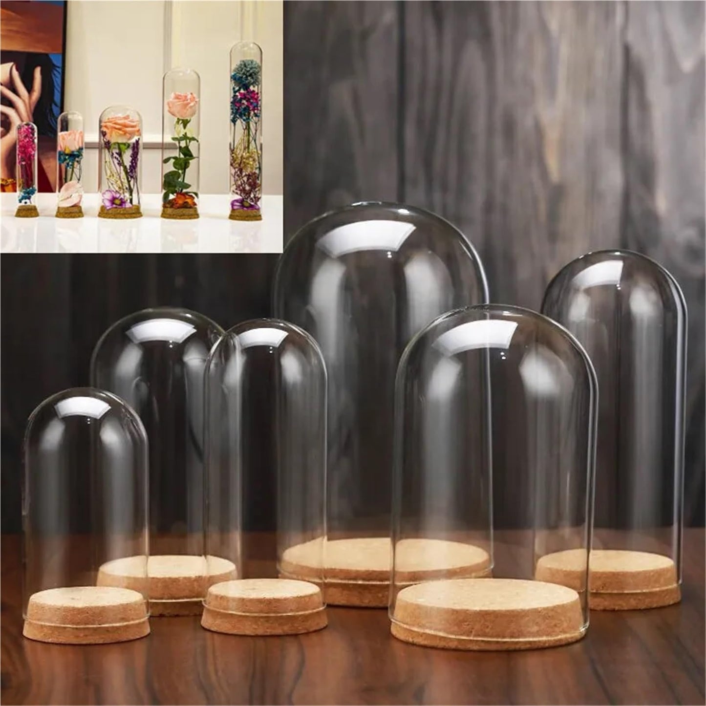 10X Da30mm Glass Bottle Terrarium Jar Cork Base Dome Dust Cover DIY Specimen Succulent Plant Micro Landscape Flower Vase Display(30x80cm)