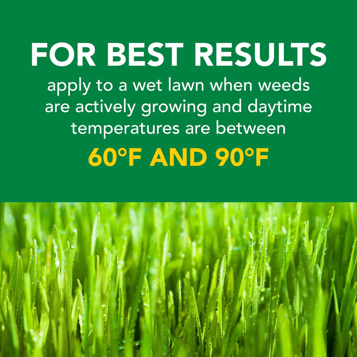 Scotts Turf Builder Weed and Feed 3, 5,000 sq. ft.
