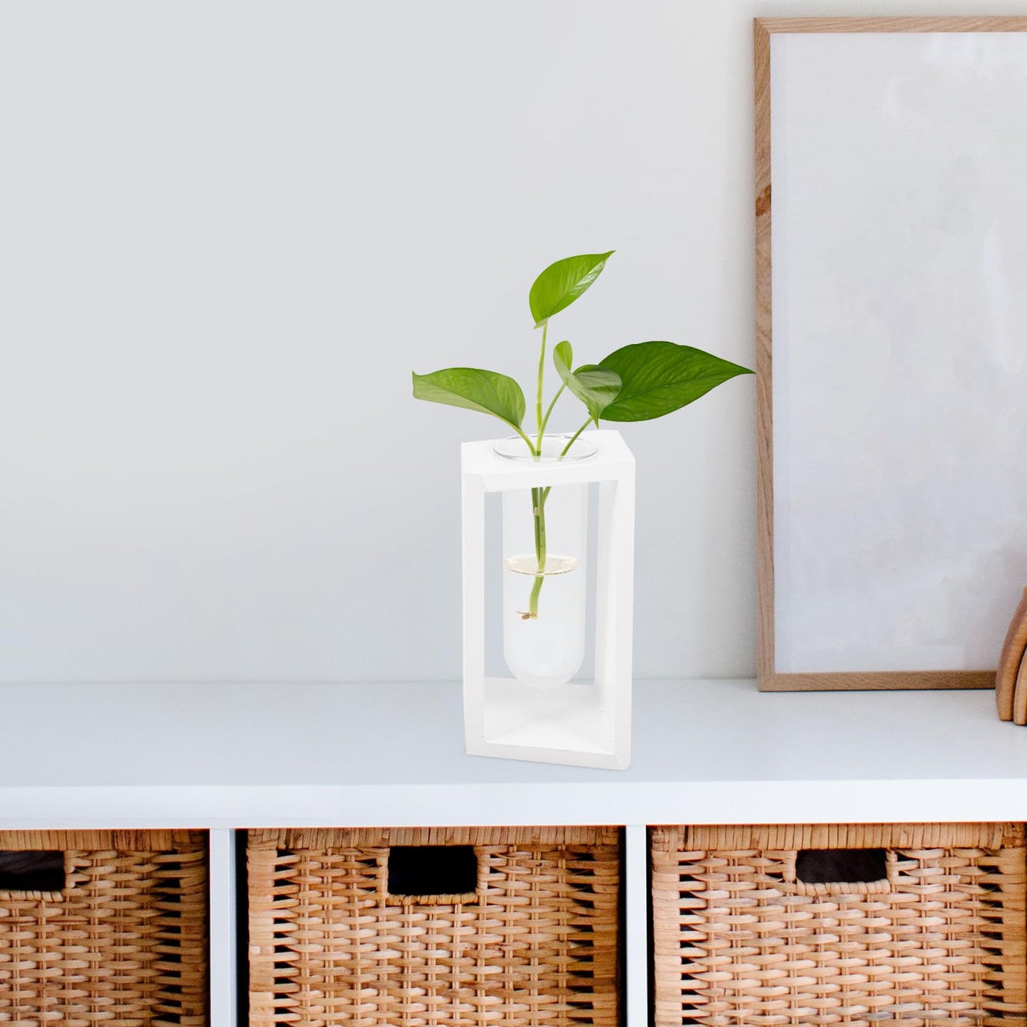 Cabilock Test Tube Vase with White Wood Rack, Small Glass Propagation Tubes for Indoor Hydroponic Plants, Decorative Home Garden Terrarium Container for Plant Propagation