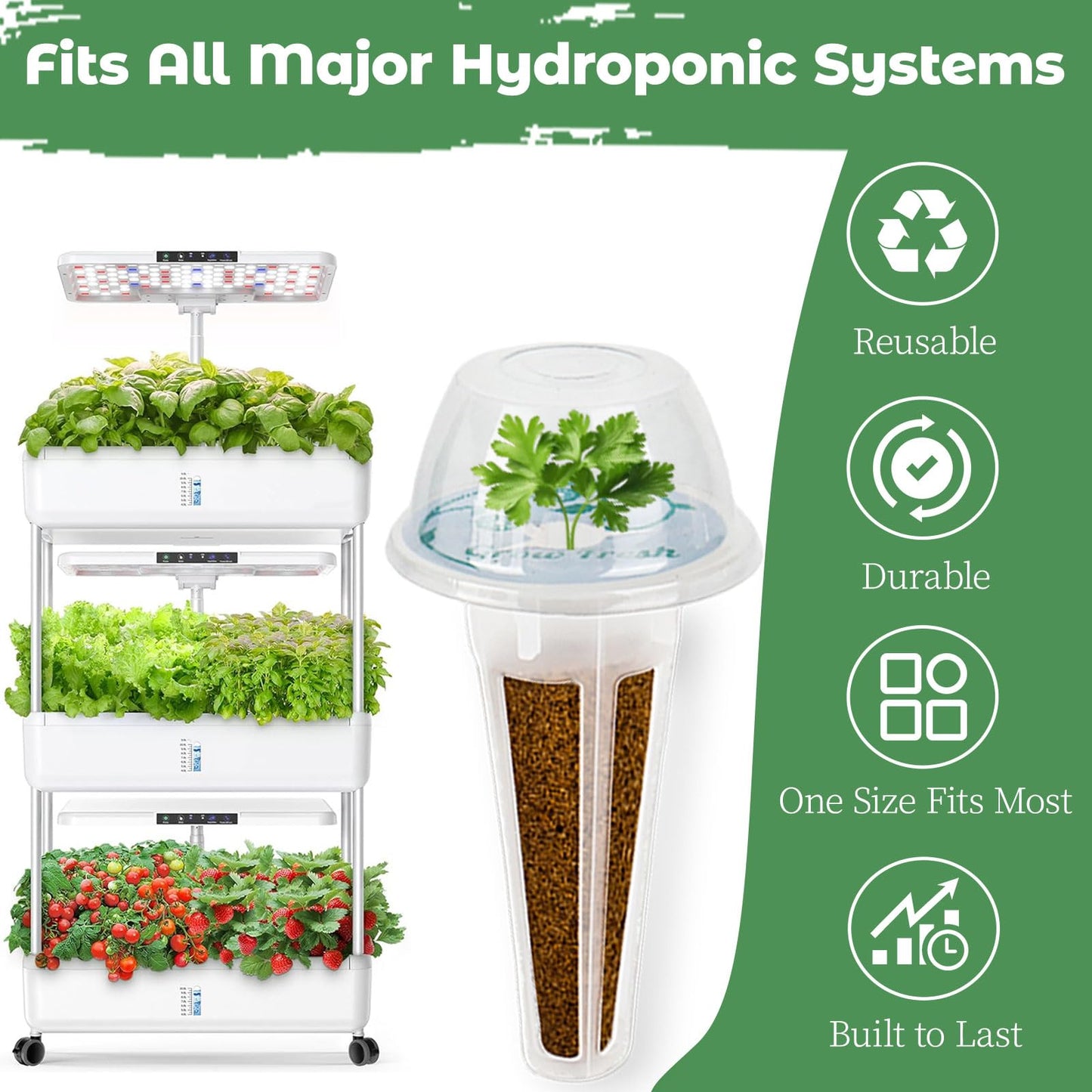 Salad Seed Pod for Aerogarden - 12 Fruit Hydroponic Refill Grow Pods with 6 Packets Seeds of Mini Cucumber, Arugula, Spinach, Cherry Radish & Tomato for Most Hydroponic Systems Ahopegarden, LETPOT