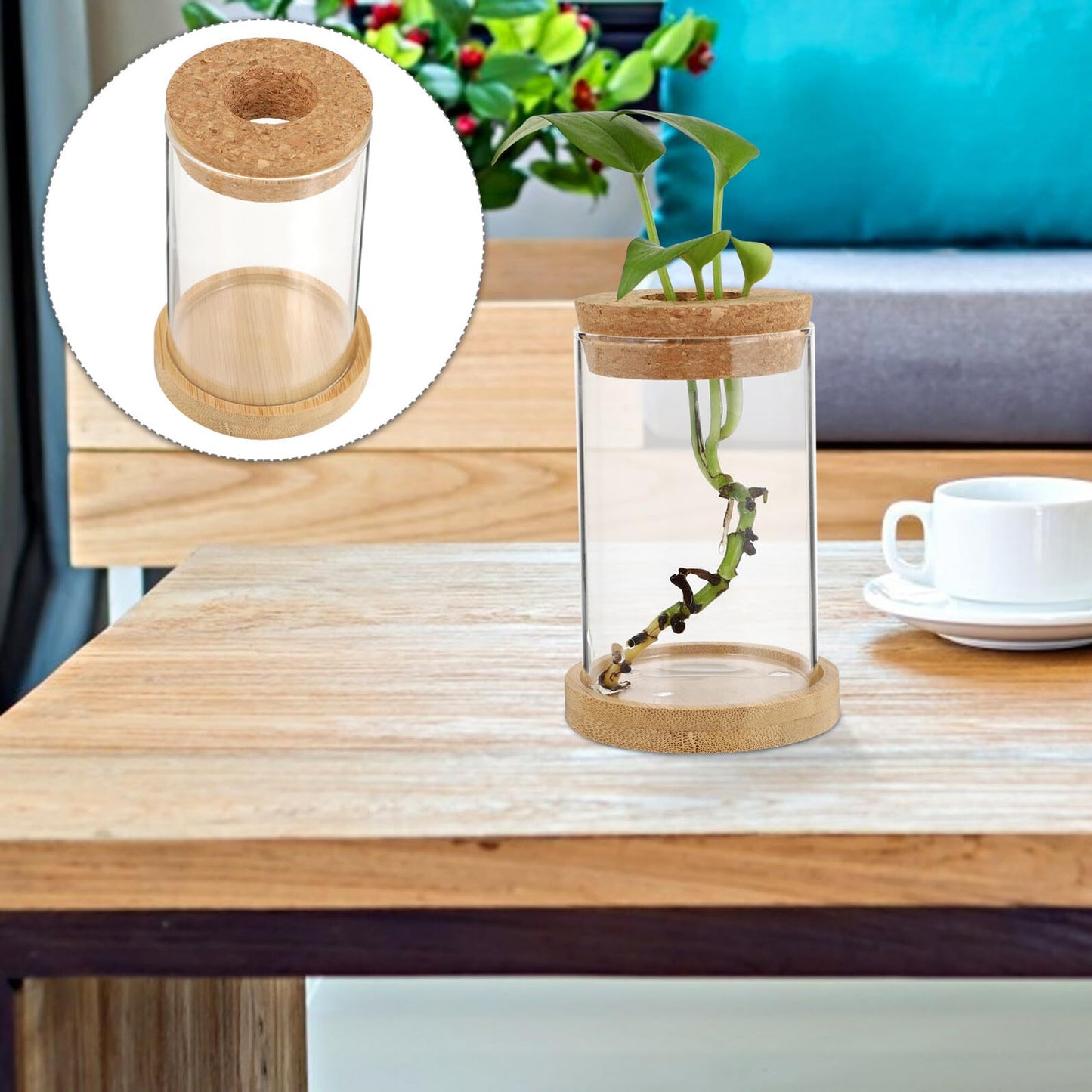 SHINEOFI 2pcs Glass Hydroponic Plant Vase Set with Stand, Desktop Glass Containers for Home and Office Garden Decoration, 6.5x10cm Eco Terrarium Bottles for Water Propagation