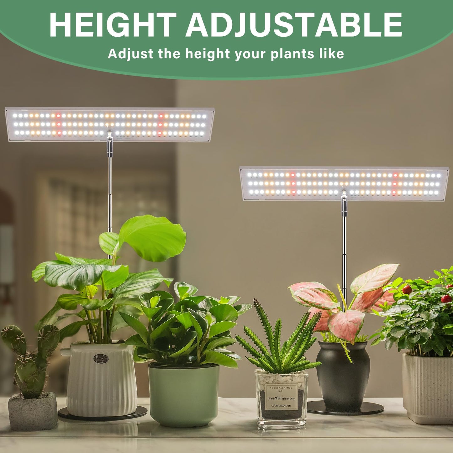 LORDEM Grow Light for Indoor Plant, Full Spectrum LED Plant Light, Height Adjustable Growing Lamp with Auto On/Off Timer 4H/8H/12H, 4 Dimmable Brightness, Ideal for Home Desk Plant Lighting, 2 Pack