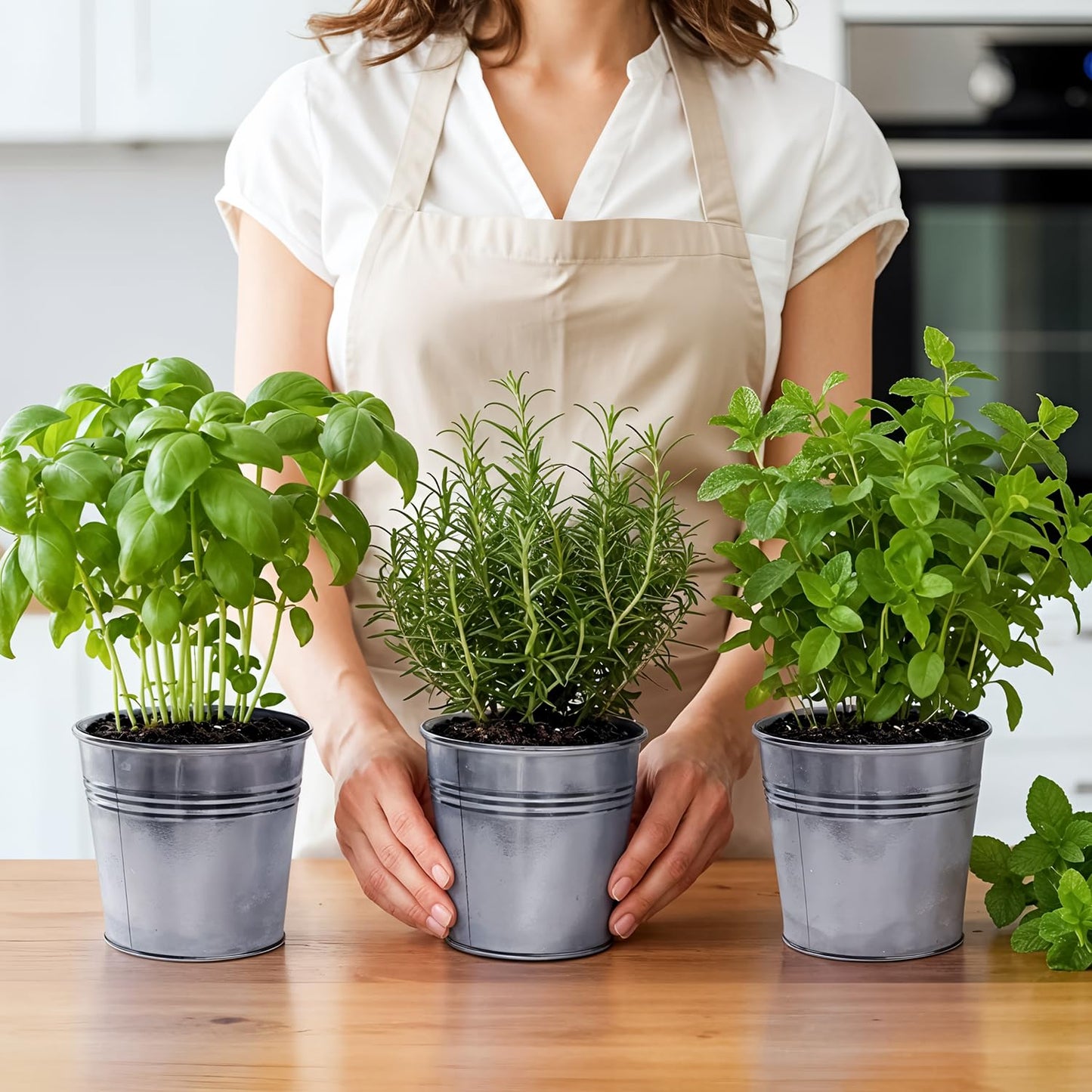 Plexon Herb Planter Indoor Garden Set of 3 with Tray, Metal Herb Pots for Indoor Plants, Round Kitchen Garden Kit Ideal for Windowsill Planter or Countertop, Galvanized Steel