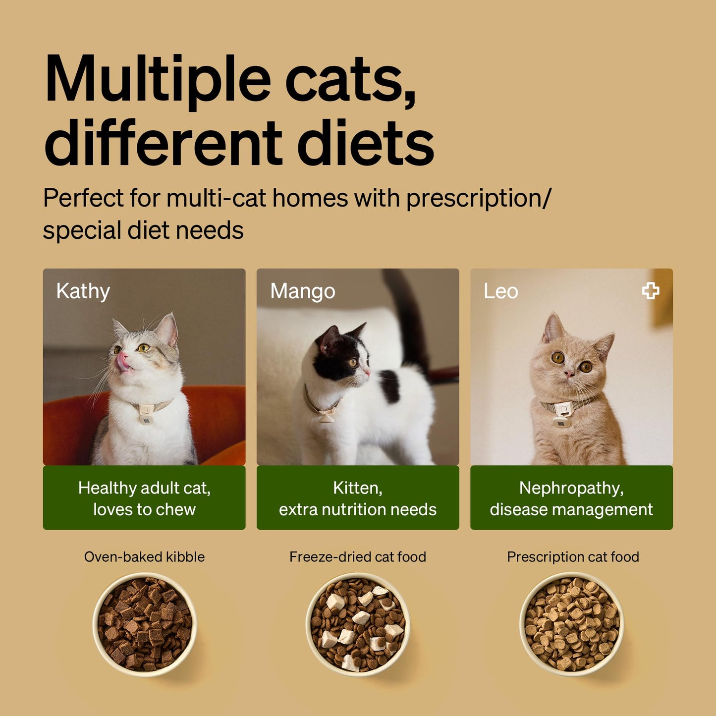 PETLIBRO RFID Automatic Cat Feeder & Water Fountain – Collar Tag Activated, Wi-Fi Programmable Combo with Cat Recognition & Diet Tracking, Personalized Feeding & Fresh Water for Multi-Pet Homes
