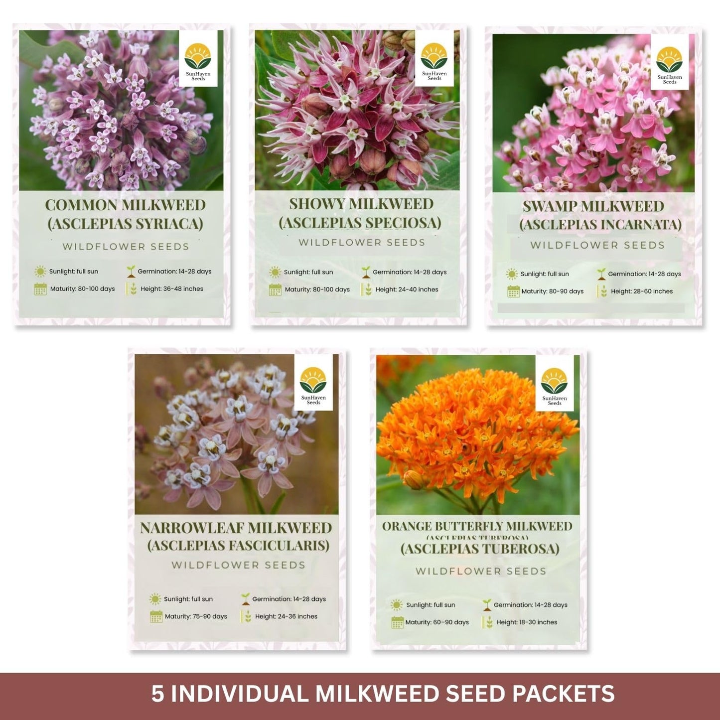 SunHaven Seeds Native Milkweed Variety Pack - 5 Essential Species for Monarch Butterfly Gardens - Common, Swamp, Butterfly Weed, Showy & Narrowleaf - Non-GMO Native Wildflower Seeds for Pollinators