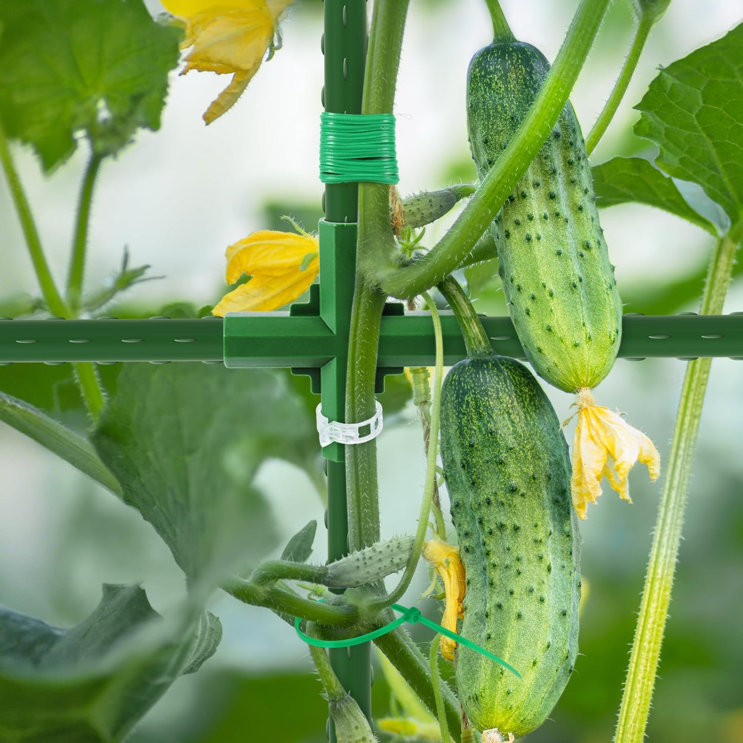 Extra Large Cucumber Trellis for Raised Bed, U-Shape Garden Trellis for Climbing Plants Outdoor,Adjustable Metal Arch Vegetables Trellis,Plant Support Garden Stakes for Vine (Green,65"x49.2"x23.6")