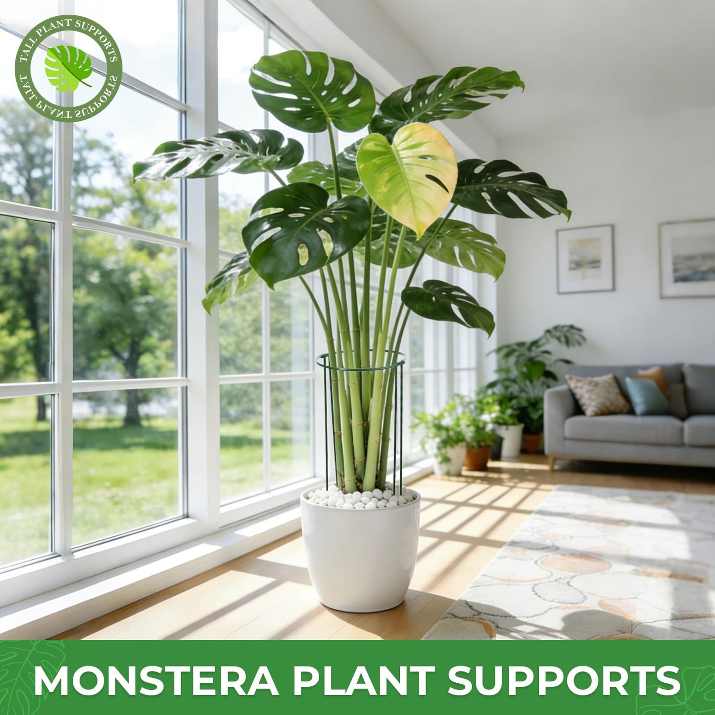LEOBRO 12PCS Plant Supports, 24 Inch Peony Cages and Supports, Garden Plant Stakes for Indoor Plants, Outdoor Plants, Peony Tomato Monstera Hydrangea Stakes, 10" W x 24" H